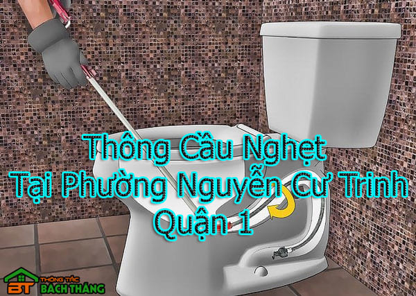 Thông Cầu Nghẹt Tại Phường Nguyễn Cư Trinh
