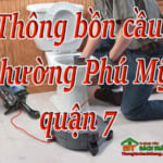 Thông bồn cầu phường Phú Mỹ quận 7 giá rẻ, thợ chuyên nghiệp