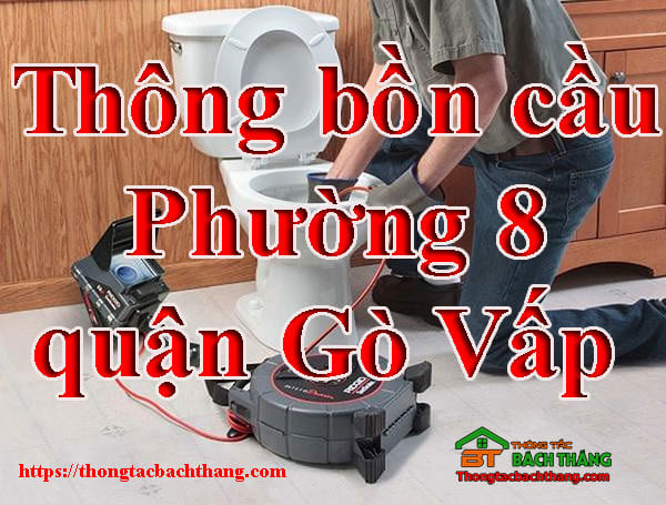 Thông bồn cầu Phường 8 quận Gò Vấp giá rẻ, hiệu quả