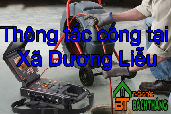 Thông tắc cống tại Xã Dương Liễu