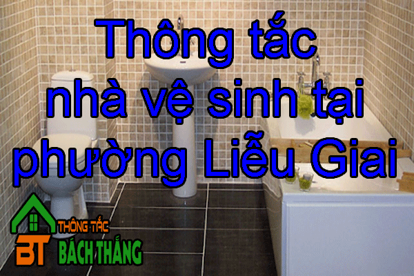 Thông tắc nhà vệ sinh tại phường Liễu Giai 