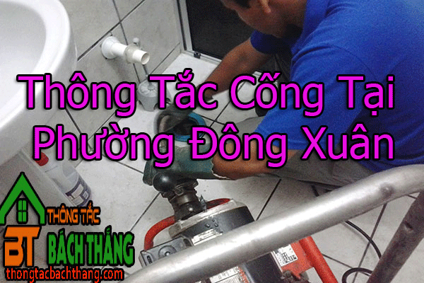 Thông Tắc Cống Tại Phường Đông Xuân