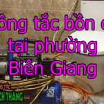Thông tắc bồn cầu tại phường Biên Giang có nhiều năm trong nghề