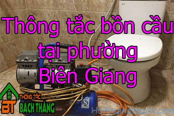 Thông tắc bồn cầu tại phường Biên Giang