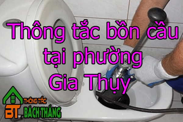 Thông tắc bồn cầu tại phường Gia Thụy