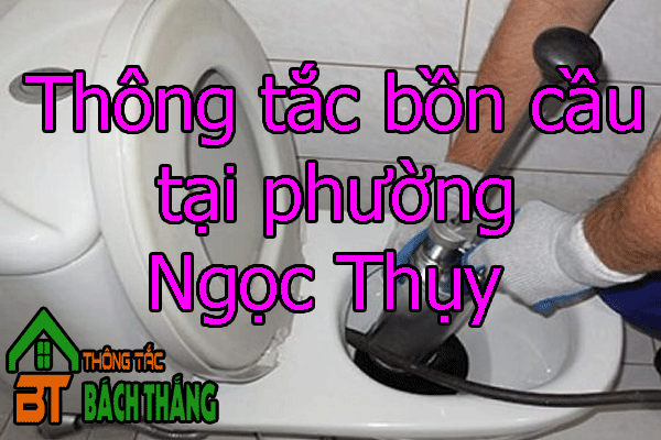 Thông tắc bồn cầu tại phường Ngọc Thụy